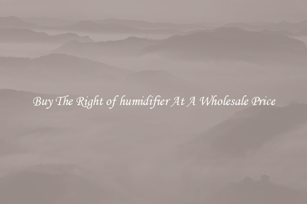 Buy The Right of humidifier At A Wholesale Price