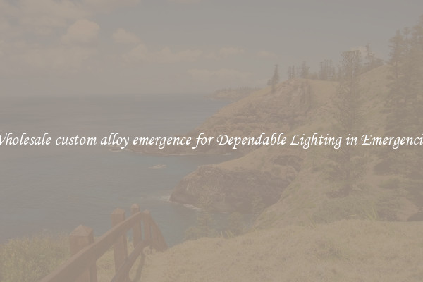 Wholesale custom alloy emergence for Dependable Lighting in Emergencies