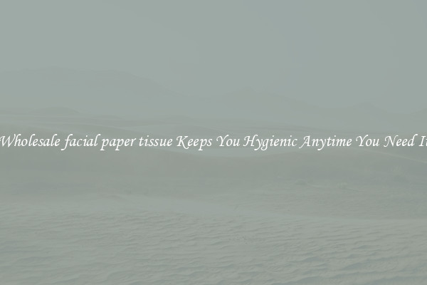 Wholesale facial paper tissue Keeps You Hygienic Anytime You Need It