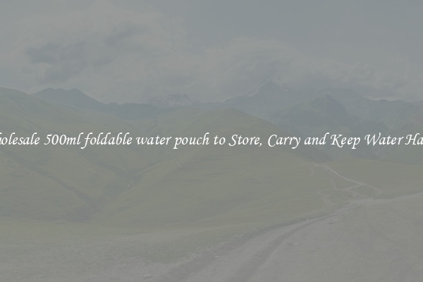 Wholesale 500ml foldable water pouch to Store, Carry and Keep Water Handy