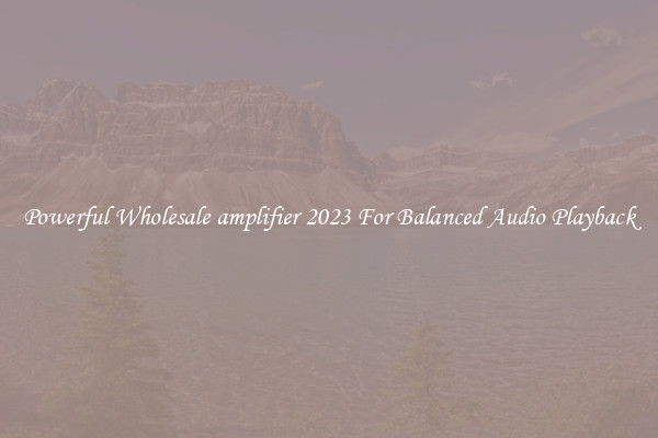 Powerful Wholesale amplifier 2023 For Balanced Audio Playback