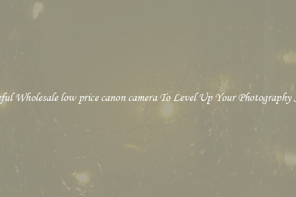 Useful Wholesale low price canon camera To Level Up Your Photography Skill