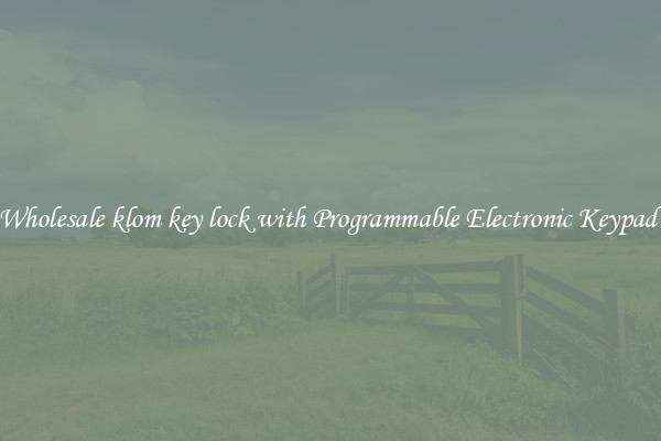 Wholesale klom key lock with Programmable Electronic Keypad 
