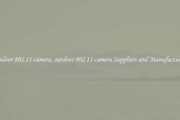 outdoor 802.11 camera, outdoor 802.11 camera Suppliers and Manufacturers