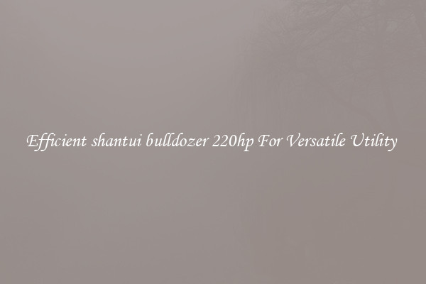 Efficient shantui bulldozer 220hp For Versatile Utility 