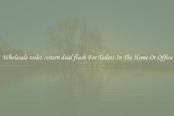 Wholesale toilet cistern dual flush For Toilets In The Home Or Office