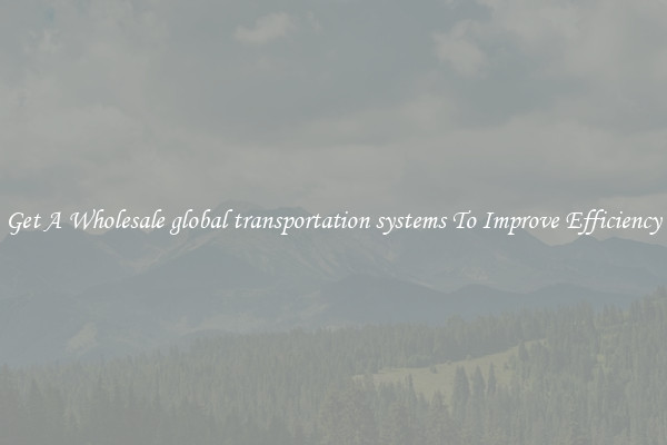 Get A Wholesale global transportation systems To Improve Efficiency