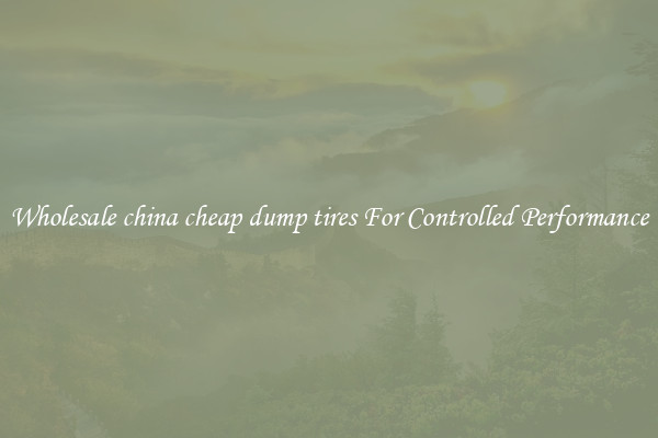 Wholesale china cheap dump tires For Controlled Performance