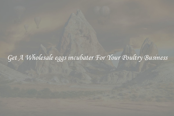 Get A Wholesale eggs incubater For Your Poultry Business