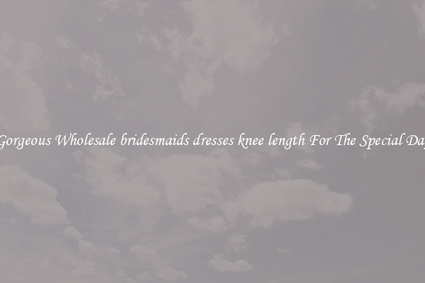 Gorgeous Wholesale bridesmaids dresses knee length For The Special Day