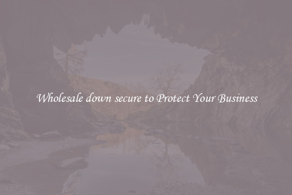 Wholesale down secure to Protect Your Business
