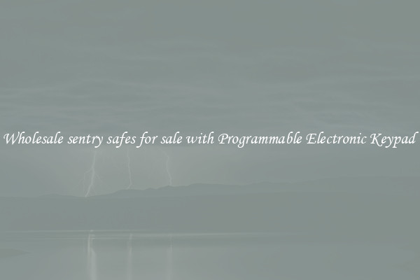 Wholesale sentry safes for sale with Programmable Electronic Keypad 