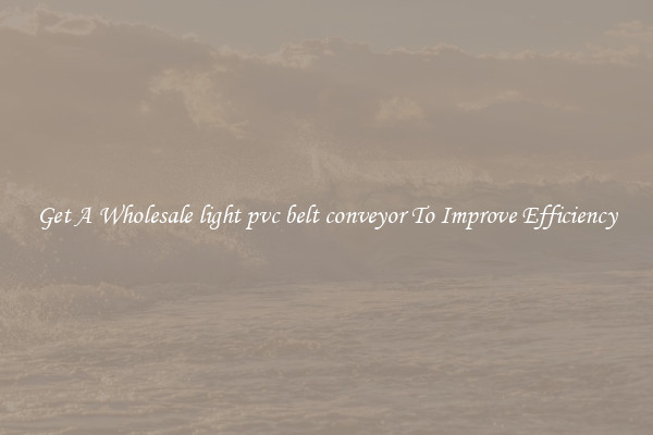 Get A Wholesale light pvc belt conveyor To Improve Efficiency