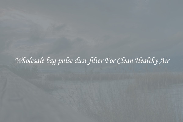 Wholesale bag pulse dust filter For Clean Healthy Air