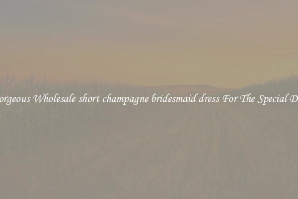 Gorgeous Wholesale short champagne bridesmaid dress For The Special Day