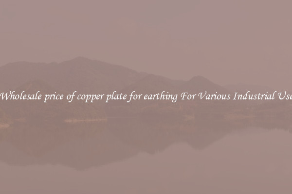 Wholesale price of copper plate for earthing For Various Industrial Use