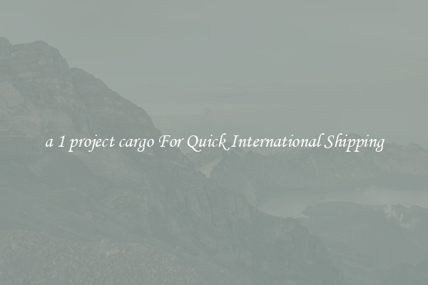 a 1 project cargo For Quick International Shipping