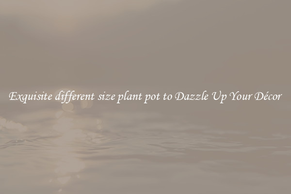Exquisite different size plant pot to Dazzle Up Your Décor 